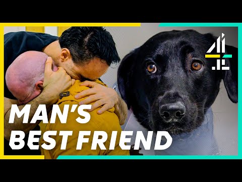 Discovering Your Dog Has Cancer | The Supervet