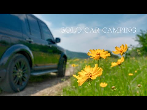 Packing new camping gear and going on a car camping trip in goldenrod flowers are in full bloom 🌼🌼