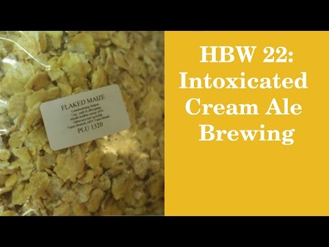 HBW 22: Intoxicated Cream Ale Brewing