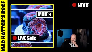 🔴 Mad Hatter's Reef Live Sale