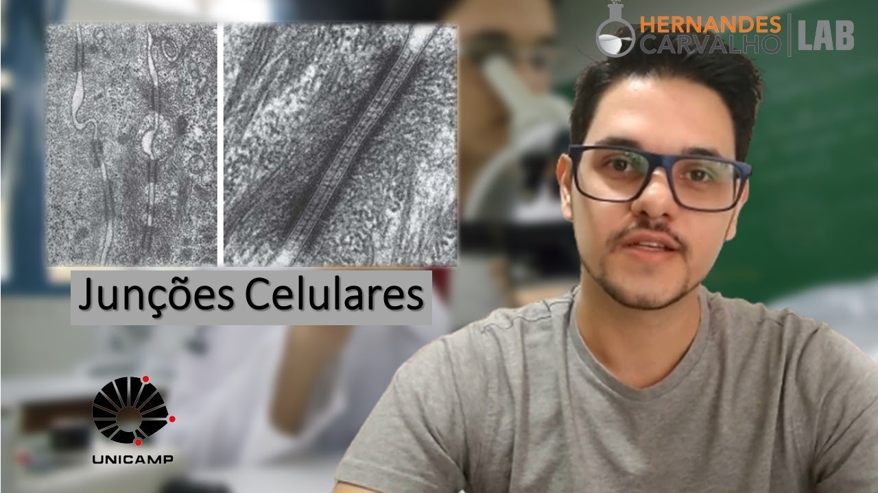 Junções celulares