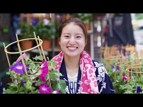 『TAITO CITY FILM COMMISSION INTRODUCTION』