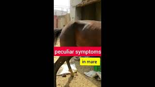 Download lagu 29 March 2021 mp3 Download lagu 29 March 2021 mp3