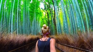 BAMBOO FOREST + SCARY MONKEYS (Kyoto Japan)