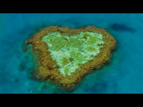 Trailer-Vorschau: Home