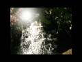 Scattered Trees - A Conversation About Death on ...