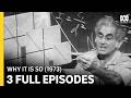 They Don't Teach Like This Anymore — Professor Miller (1973) DEFAULT Thumbnail
