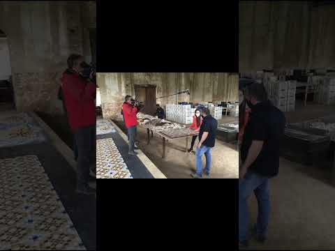 Mosaico Nolla, Sumacarcer trabajos realizados 2021.