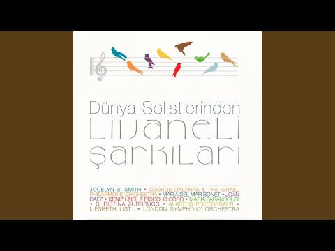 Lo scriverò nel vento