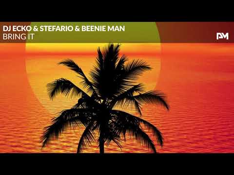 DJ Ecko & Stefario & Beenie Man - Bring It