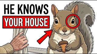 What A Squirrel Knows About Your House Before You Wake Up