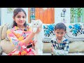 My New Cat Brother Cat Comedy Video Funny Video Prabhu Sarala Lifestyle
