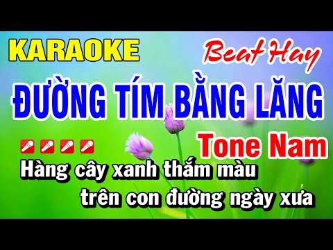 Karaoke Tone Nam Nhạc Sống Đường Tím Bằng Lăng (Beat Hay) Hoài Phong Organ