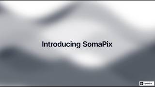 SomaPix