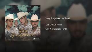 &quot;Voy A Quererte Tanto&quot;