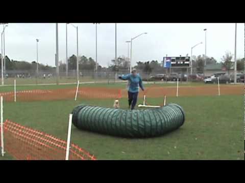 Normie-AAM 6922 SAT-NOV-TNG