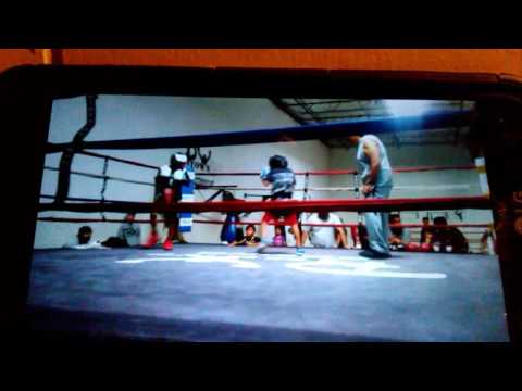 P town boxing academy brandon vs daniel 3 rounds brandon red shoes