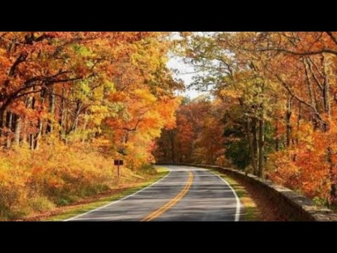 Virginia Bites is live! Fall Drive,, 🍂🍁🍃