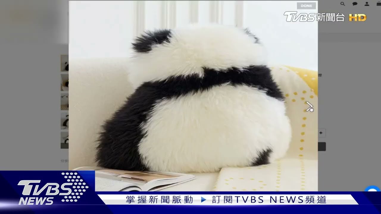 傻眼!女網購「貓熊背影」抱枕 轉過來「沒印臉」
