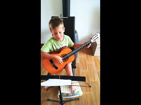 Čechomor Proměny 2. ročník kytara