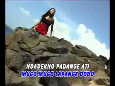 LANGIT chy chy viana