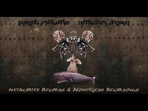 VA Past Future - 02 - AlienLazerBaby - Everyone Does Things Differently