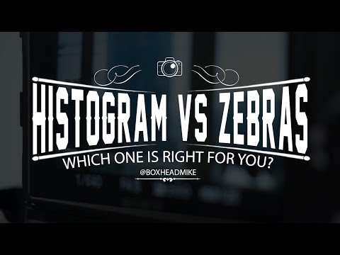 Histogram vs Zebras - setting your exposure
