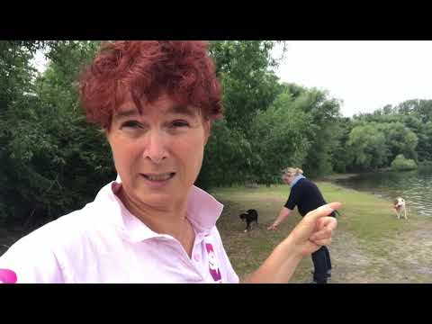 Hunde Bellt am Wasser warum? Was kann ich tun? Hundetrainerin Alex klärt auf