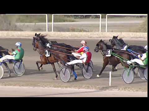 Napoli Trotto 19/09/2023 - 5ª corsa