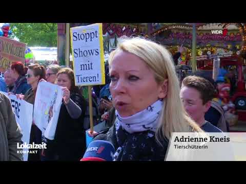 Tierschützer auf der Sprödentalkirmes in Krefeld