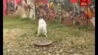 ·ҚRΦM¥· sfdk - intermedio