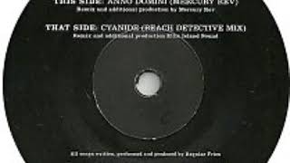 Regular Fries - Anno Domini (Mercury Rev Remix)
