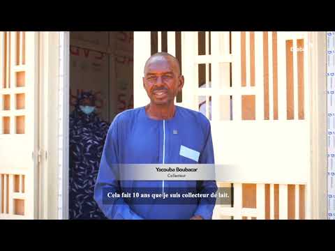 Niger : Le lait au service du développement local