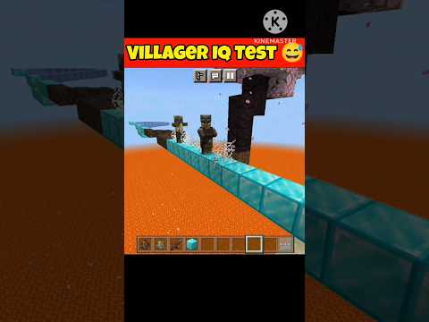 Ultimate Villager IQ Test - Can You Beat It?