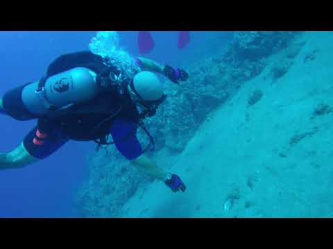 Wailea Point dive 10 31 20