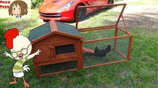 Pet show and tell - Pet Chicken gets a new house :D