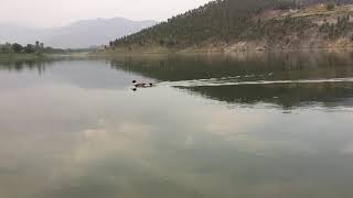 preview picture of video 'Raghagan Dam Bajaur Agency'