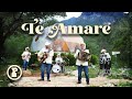 Pesado - Te Amaré (Video Oficial)