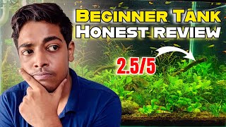 Reacting & Rating Beginner Planted Aquariums  - Brutally Honest Review !