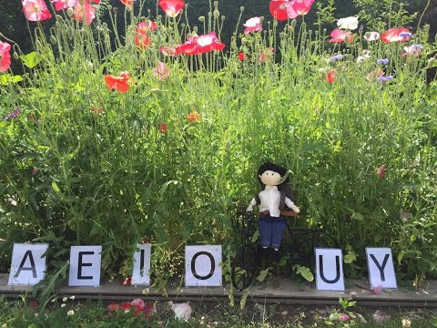 POLUŚ - SAMOGŁOSKI