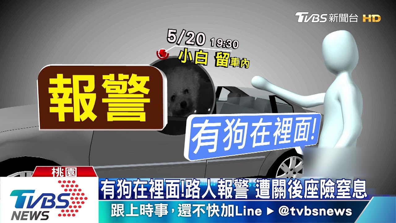 快幫我開門!主人太累 停好車竟忘了狗