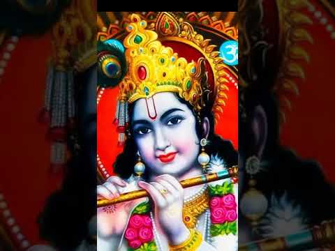 Bawaliyon 🙏jai shri shyam