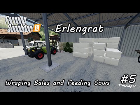 Wrapping bales and Feeding Cows Farming Simulator 19 Erlengrat Ep5