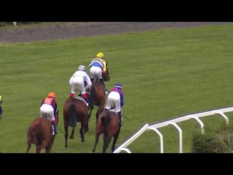 2. dostih - CENA CHARDONNEY TCHEQUE - dostihy Velká Chuchle 19. 5. 2019