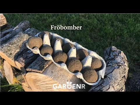 Kriga för liv, gör fröbomber - Trädgårdshacks med GardenR