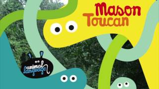 Toucan Music Video