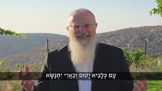 מתוך גבהות הניצחון יבנה הבית | הרב שמואל אליהו | הלכה יומית | כ״ג סיוון תשפ״ה (הרב שמואל אליהו) - התמונה מוצגת ישירות מתוך אתר האינטרנט יוטיוב. זכויות היוצרים בתמונה שייכות ליוצרה. קישור קרדיט למקור התוכן נמצא בתוך דף הסרטון