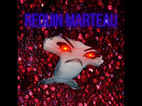 Argalouve - Requin Marteau