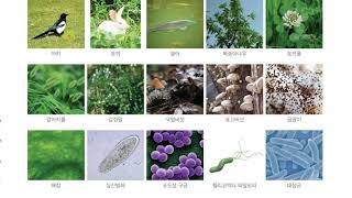 [초등과학 5-1 무료강의] 5. 다양한 생물과 우리 생활 0차시 우리 주변의 다양한 생물 알아보기