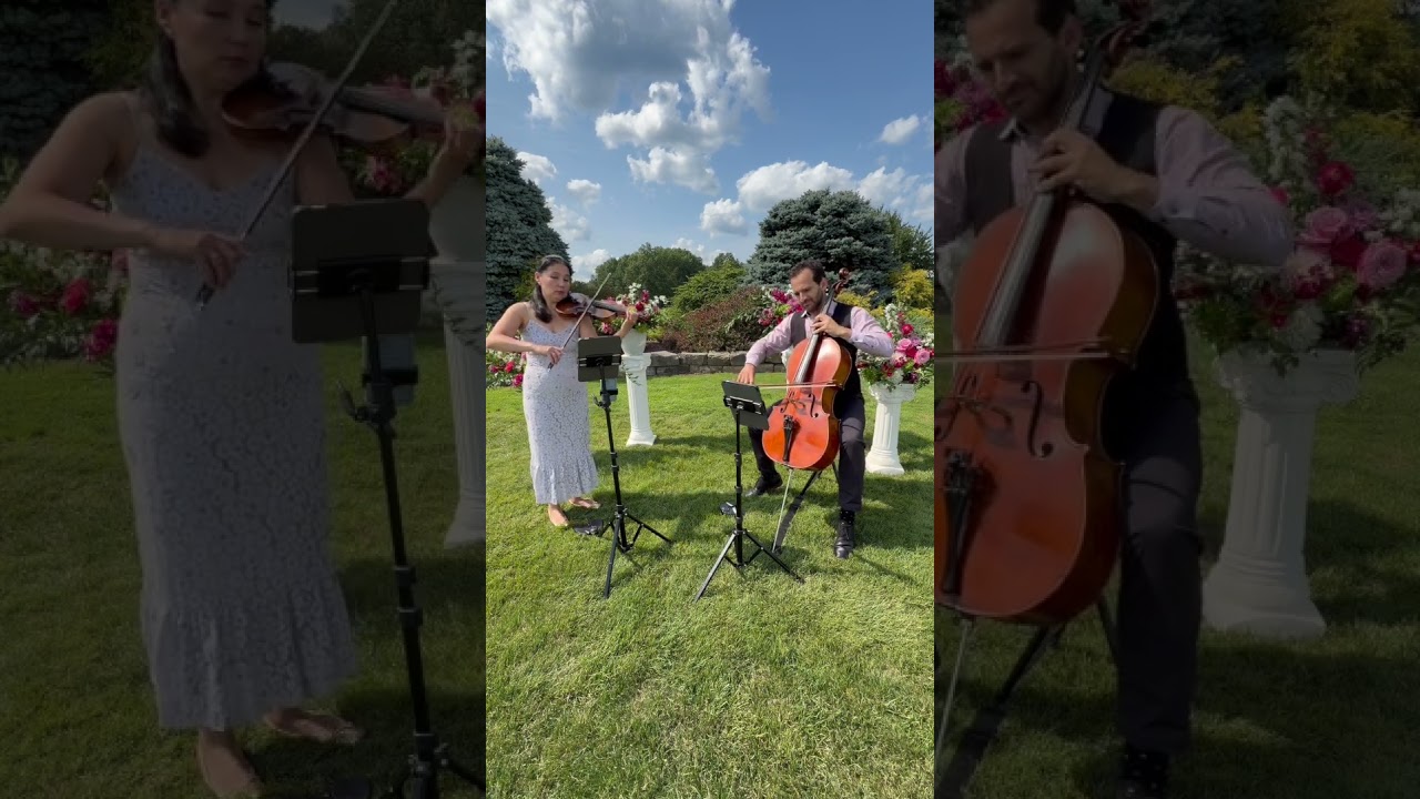 Promotional video thumbnail 1 for Elegance Quartet Entertainment